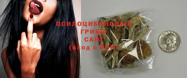 крисы Инсар