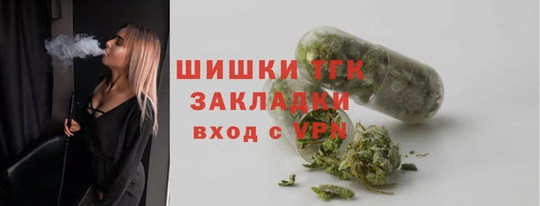 крисы Инсар