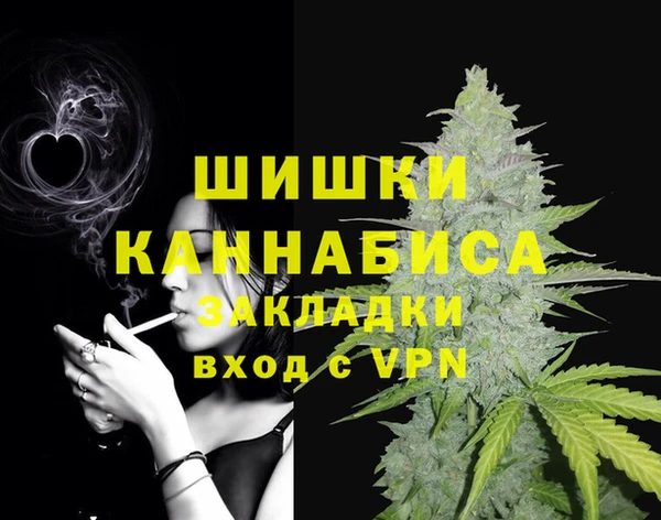 бошки Инта