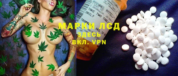 бошки Инта